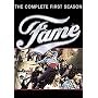 Fame - Season 1 [DVD] [1980]