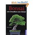 Bonsai: Vom Grundkurs zum Meister