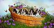 Growing Puppies 500pc Jigsaw Puzzle by Carol Cavalaris