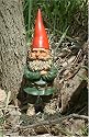 Woodland Garden Gnome - Timothy the Supervisor
