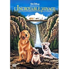 L'Incroyable voyage