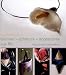 Blumen, Schmuck und Accessoires aus Filz