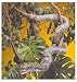 Folkmanis 2246 - Boa Constrictor