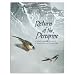 Return of the Peregrine