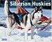 Book Just Siberian Huskies 2006 16-Month Wall Calendar