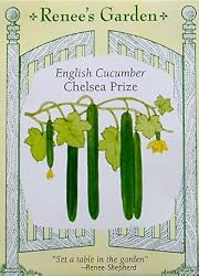 English Cucumbers Renee's Chelsea Prize Seeds