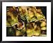 Choir, Malindi, Kenya Collections Framed Art Poster Print by Neil Emmerson, 31x25