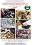 Innovative Toys, that America Loves: Part 2: Educational, Science, Hobbytech and Green Toy Designs at the American International Toy Fair... Part 2