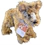 Because of Winn-dixie Plush