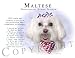 maltese11  - Maltese Human Trainer Mouse Pad Dog Mousepad