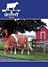 Guernsey Breeders Journal