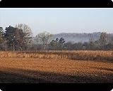 Mouse Mats of Field of red clay soil in Alabama from North Wind Picture Archives