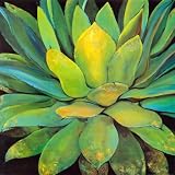 Agave Art Poster Print by Jillian David, 40×40