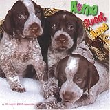 Home Sweet Home 2008 Wall Calendar