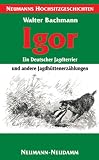 Igor - ein Deutscher Jagdterrier: Jagdhüttenerzählungen