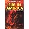 learn more about wildfires