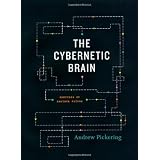 The Cybernetic Brain: Sketches of Another Future