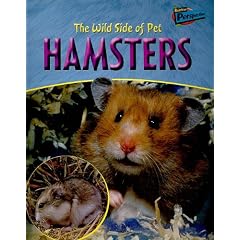 The Wild Side Of Hamsters