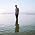 Vignette de Avishai Cohen