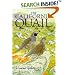 The California Quail