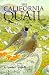 The California Quail