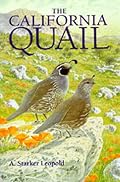 The California Quail