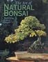 The Art of Natural Bonsai: Replicating Nature's Beauty