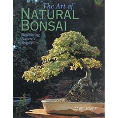 The Art of Natural Bonsai: Replicating Nature's Beauty