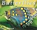 Book Butterflies: 2002 Calendar