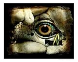 Assimilation Fantasy RePoster Print Poster by Shelley Bergen, 10x8