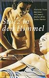 Sturz in den Himmel - 