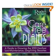 Care-Free Plants