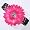 Hot Pink on Black