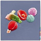 Image de New Blood: Live in London Deluxe Import (Blu-Ray/DVD and 2CD)