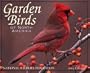 Garden Birds