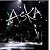 ASKA CONCERT TOUR 2009 WALK