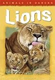 Lions