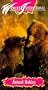 Animal Babies [VHS]