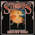 Grave New World by Strawbs