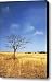 Blue and Gold Canvas Print / Canvas Art - Artist Sydney Alvares