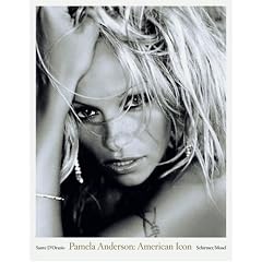 Pamela Anderson: American Icon. Pop-Edition