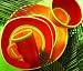 Dansk Caribe Tableware Collection
