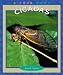 Book Cicadas (True Books)