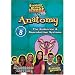 Standard Deviants School - Anatomy, Program 8 - The Endocrine and Reproductive Systems (Classroom Edition)