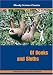 Of Books And Sloths (Moody Science Classics Video)