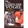 Das Leben der V�gel - Teil 5