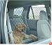 Backseat Rider Net