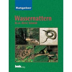 Wassernattern