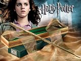 Harry Potter Hermione Granger's Wand