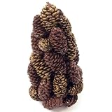 Pine Cone Candle